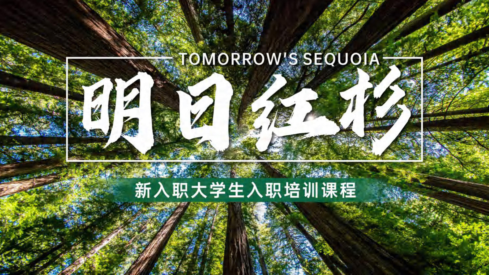 明日红杉（新入职大学生培训）